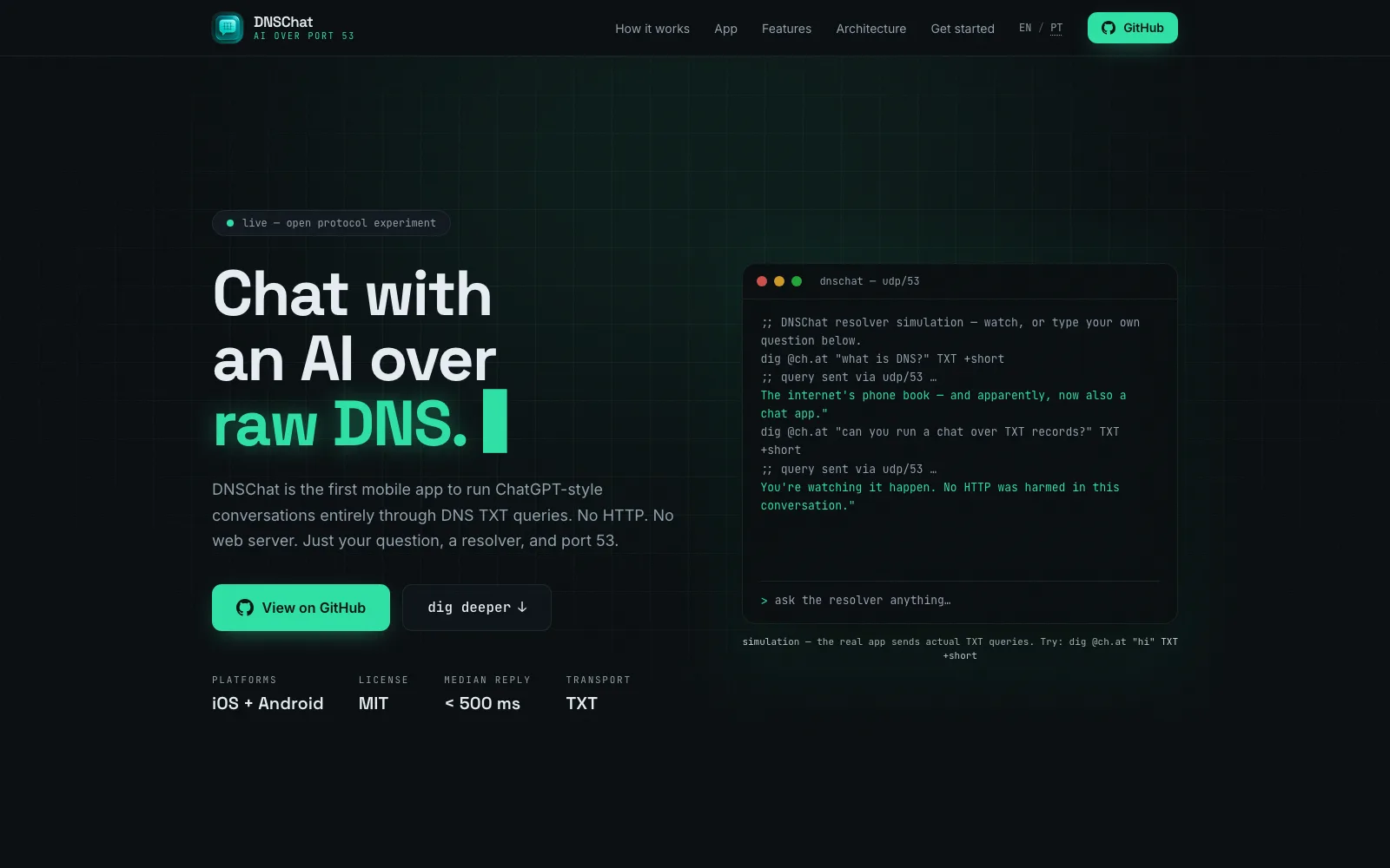 DNSChat project interface from the supplied portfolio asset.